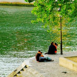 Rear view of man sitting on bench