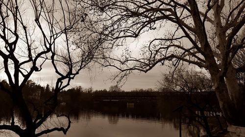 Silhouette bare trees by lake against sky