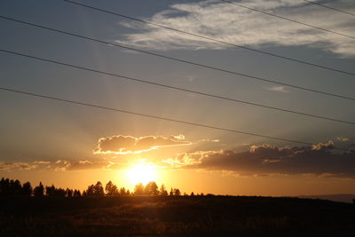 Silhouette trees on field against sky during sunset