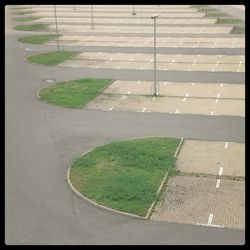 High angle view of grass