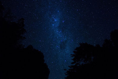 Low angle view of silhouette trees against sky at night