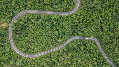 Aerial view of winding road amidst trees in forest