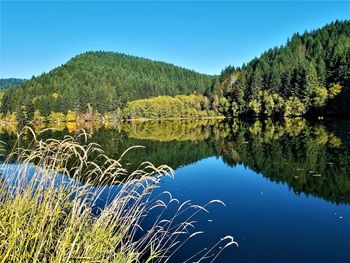 Scenic view of lake against clear blue sky