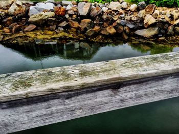 Reflection of trees in water