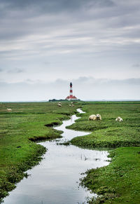 Lighthouse on field by sea against sky