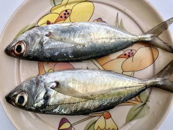 High angle view of fish in plate