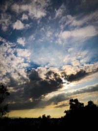 Low angle view of silhouette trees against sky at sunset