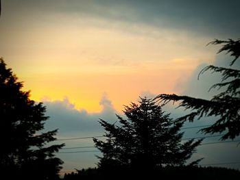 Low angle view of silhouette tree against sky during sunset