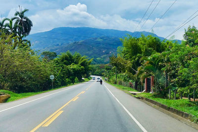 Road by trees against sky