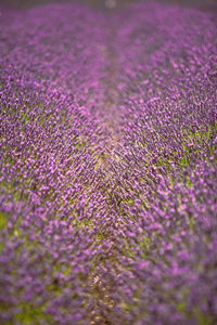 Full frame shot of sand