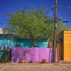 Trees against blue sky and clouds