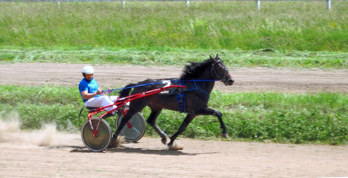 Man riding horse cart