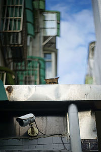 Close-up of security camera and cat