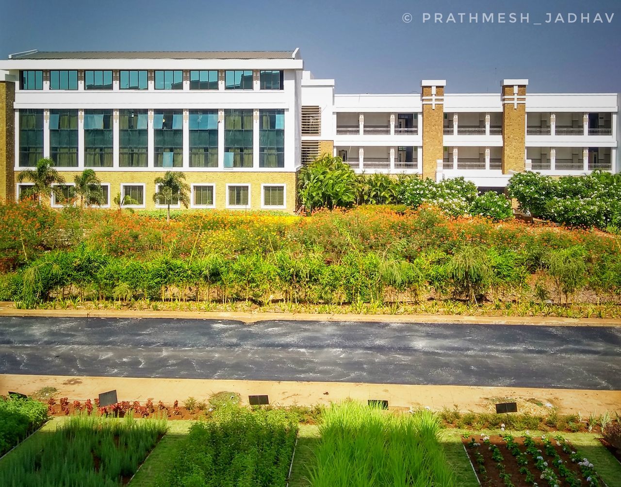 PLANTS BY LAKE AGAINST BUILDINGS