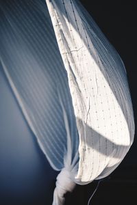 Close-up of leaf against black background