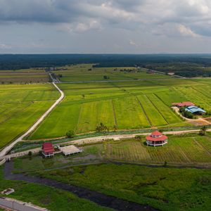 Aerial view of agriculture land, paddy fields in sungai rambai, melaka, malaysia