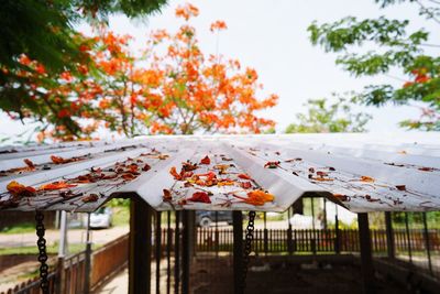 Deck chairs and house against sky