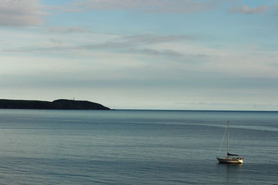 Sailboat sailing on sea against sky