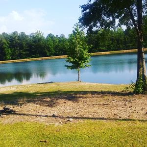 Scenic view of lake by trees against sky