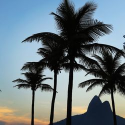 Silhouette palm trees against sky during sunset