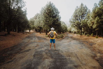 Rear view of man walking on dirt road