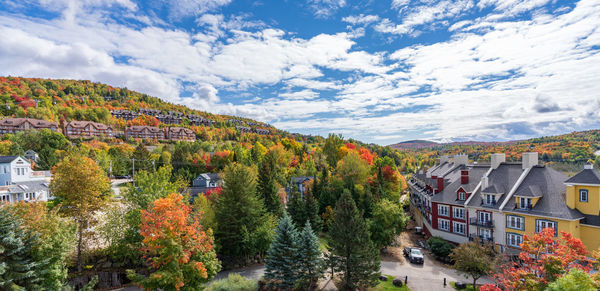 Trees and houses against sky during autumn