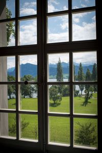 Trees seen through window