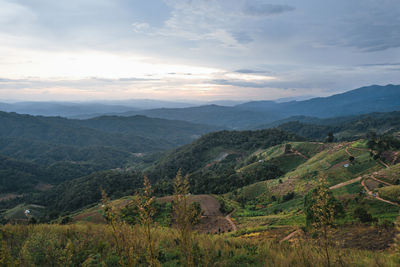 Scenic view of agricultural landscape against sky