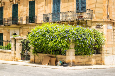 Traditional maltese architecture in sliema old town in malta