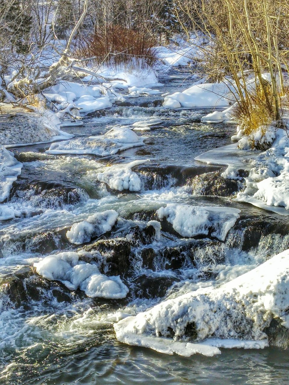 water, waterfront, flowing water, motion, nature, stream, beauty in nature, flowing, river, rippled, scenics, tranquility, rock - object, outdoors, splashing, day, no people, tranquil scene, forest, waterfall