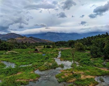 Scenic view of river amidst green landscape against sky