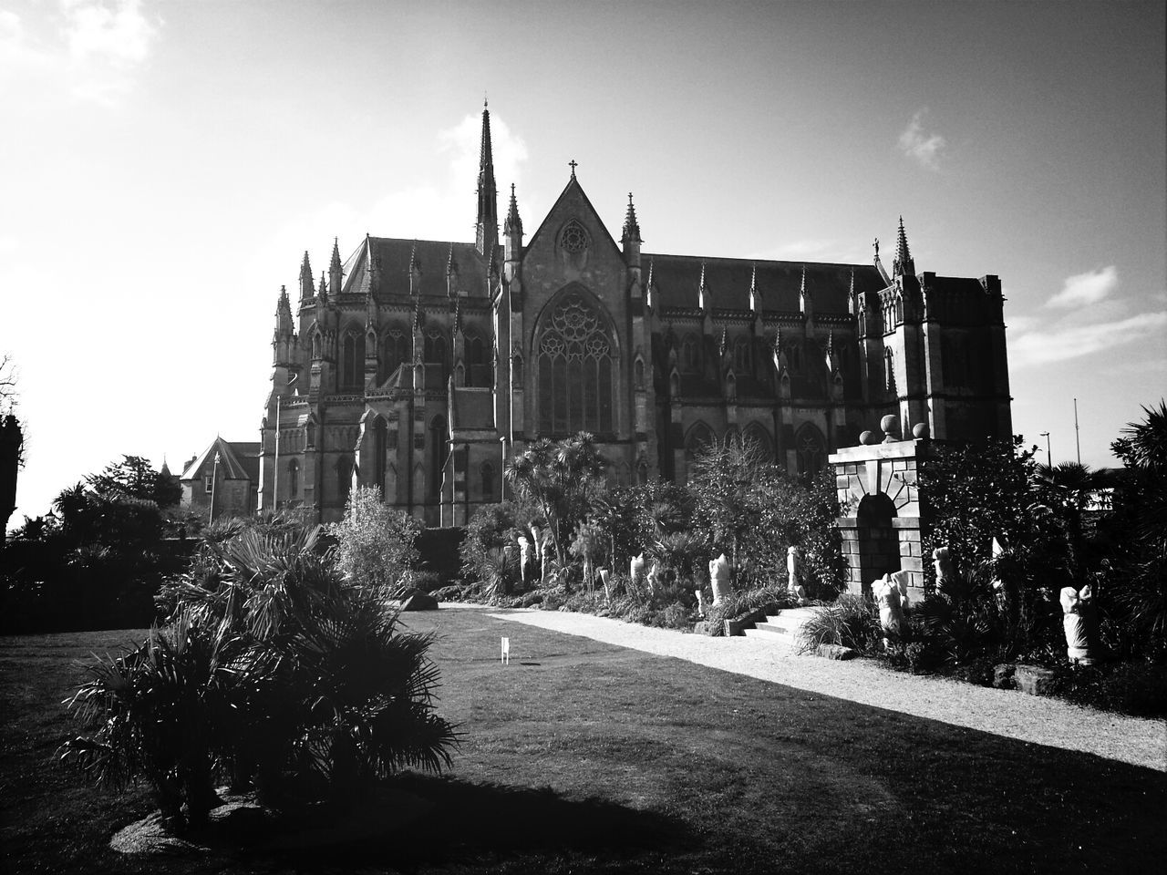 building exterior, architecture, built structure, religion, church, place of worship, spirituality, sky, tree, low angle view, cathedral, history, street, facade, outdoors, day, sunlight, no people