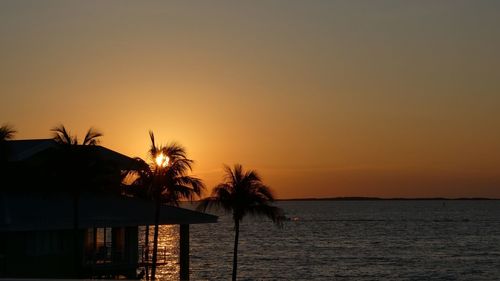 Silhouette palm trees by sea against clear sky at sunset