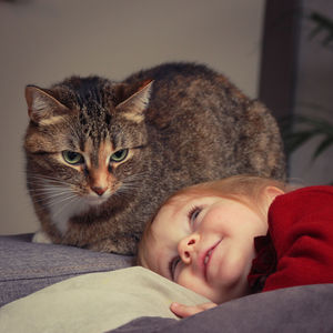 Portrait of cute cat relaxing at home with the small girl