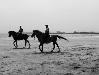 People riding horses on beach