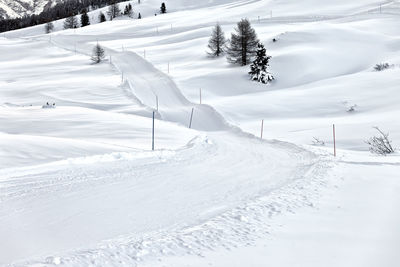 Scenic view of snow covered field