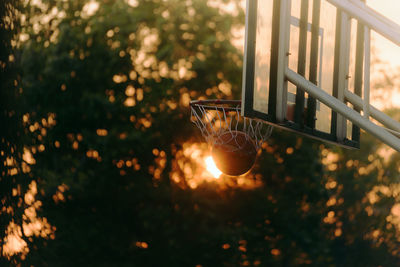 Close-up of illuminated lighting equipment hanging on tree