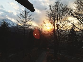 Low angle view of silhouette trees against sky during sunset