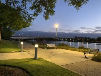 Illuminated street lights by trees against sky at dusk