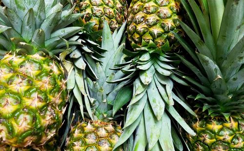 Close-up of fruits for sale in market