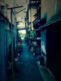 Narrow alley along buildings