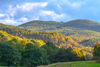 Scenic view of tree mountains against sky