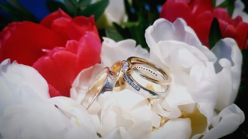 Close-up of wedding rings on bouquet