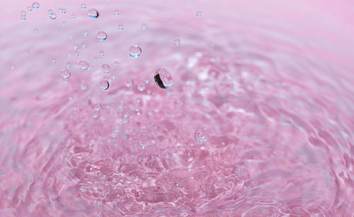 Full frame shot of water drops on pink petals