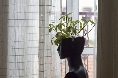 Close-up of potted plant against window