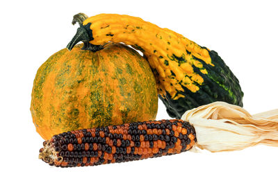 Close-up of pumpkin against white background