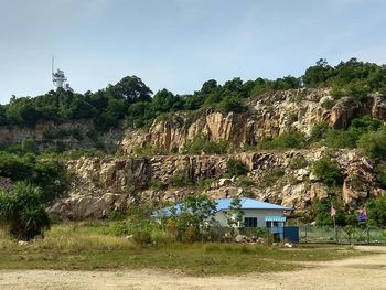 Trees and plants on land against sky