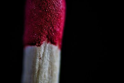 Close-up of red leaf against black background