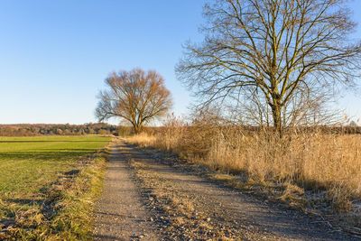 Scenic view of agricultural landscape against clear sky