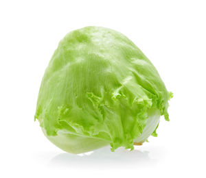 High angle view of green leaf against white background